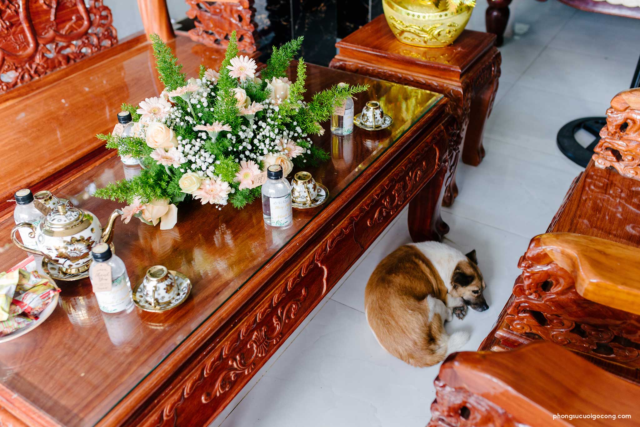 Phong su cuoi go cong